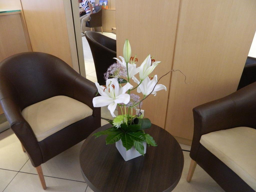 Hotel Ours Blanc - Victor Hugo Toulouse Ngoại thất bức ảnh